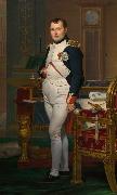 Jacques-Louis David Napoleon in his Study (mk08)